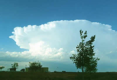 Nimbus clouds.