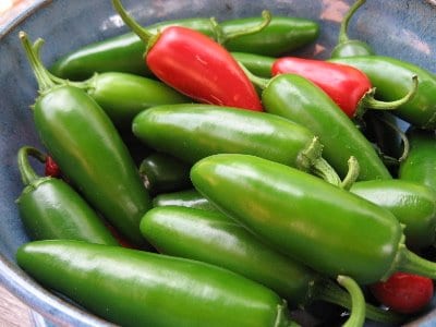 Jalapeno green and red peppers in pail.
