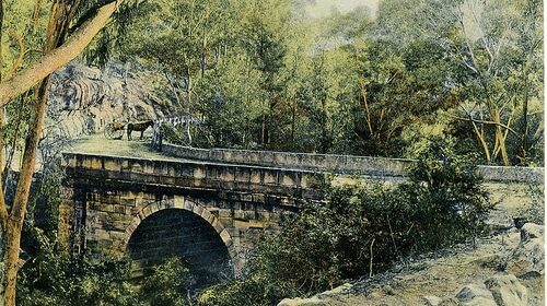 A Manvotional postcard depicts a bridge amidst the dense woods.
