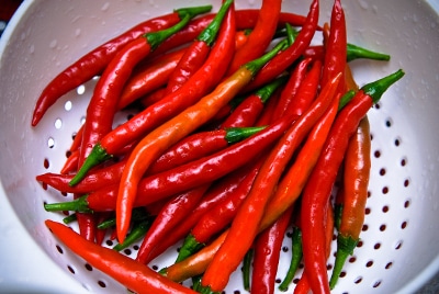 Cayenne red peppers in strainer colander. 