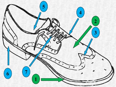 The anatomy of footwear illustration.