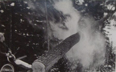 Safely fell : A man is cutting down a tree in the snow.