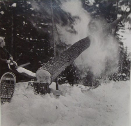 Safely fell : A man is cutting down a tree in the snow.