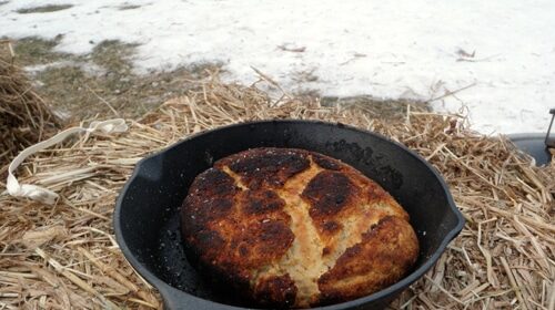 A wild bannock bread is being baked in a cast iron skillet.