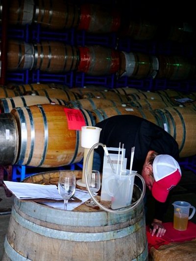 wine3 wine barrel room testing white wine fermentation