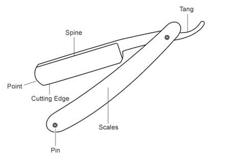 The anatomy of razor illustration.