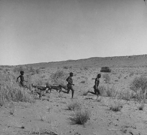 Men running in brush fields along with animals. 