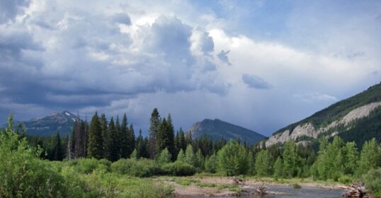 A river runs through a forest with mountains in the background, capturing the essence of the Call of the Wild.