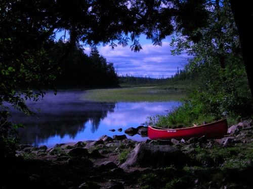 Rad canoe next to lake on shore through trees. 