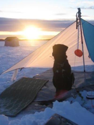 A dog under shelter in a snow.