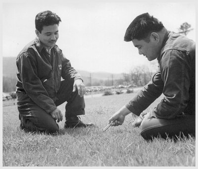 Two men playing Mumbley Peg, kneeling in the grass and looking at a piece of paper.