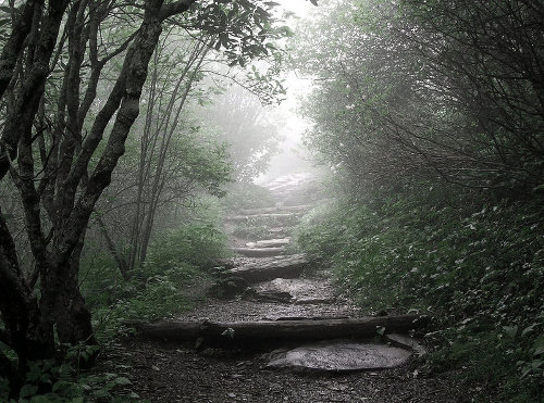 Walking hiking trail path through foggy forest.