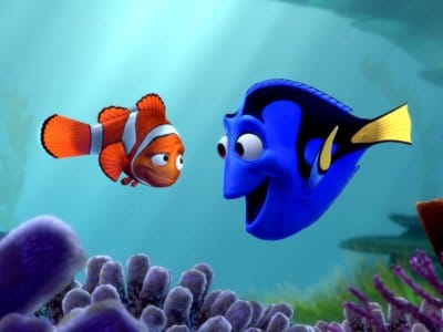 Finding nemo movie clown fish with dory.