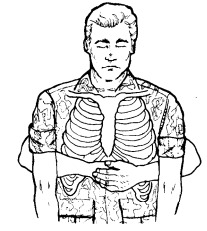 How to perform Heimlich anatomy cross section illustration.