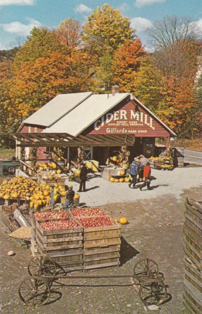 Cider mill for apples illustration. 