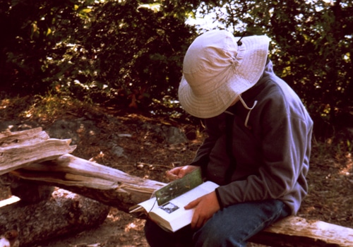 A man sitting on a tree log and reading a book.