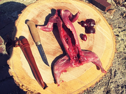 Una ardilla con su hígado y un cuchillo colocados sobre un tronco de madera.