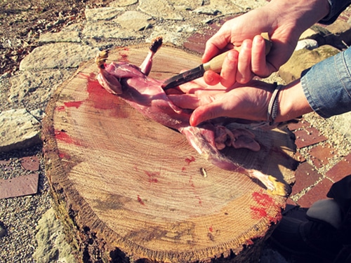 A man running a knife from slit towards the head.