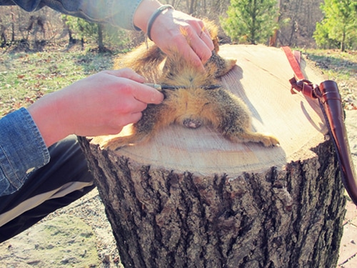 A man cutting tail of a squirrel.