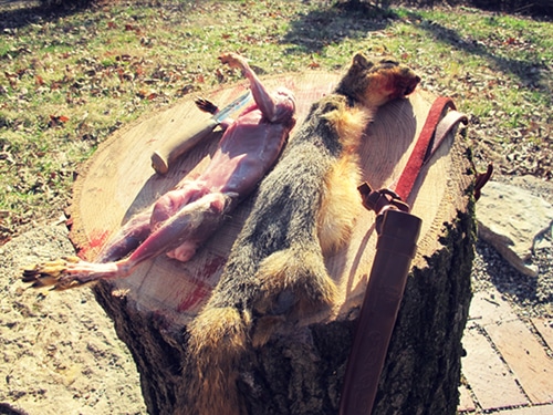 El destello de una ardilla y una piel con el cuchillo en la tapa.