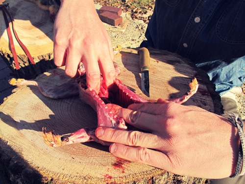 A man removing the entrails.