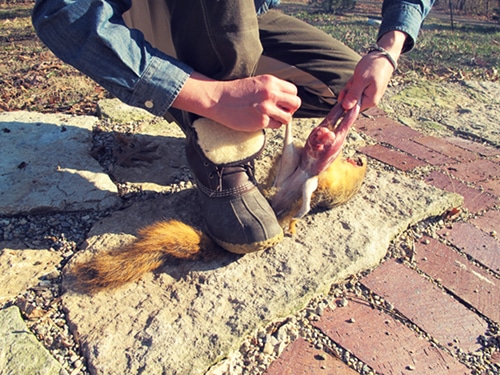 A man removing the skin of squirrel.