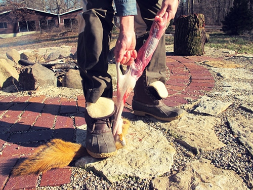 A man pulling the hide from front legs.