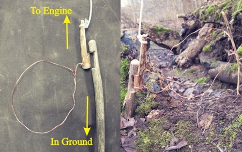 DIY survival Snares for Trapping Small animals