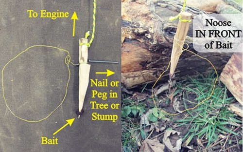 How to Build a Small Game Snare