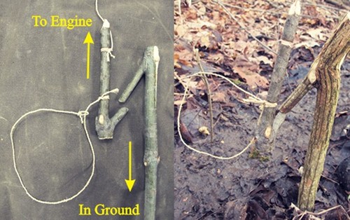 Y stick noose for snare hunting.