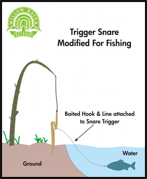 Trigger snare modified for fishing illustration.