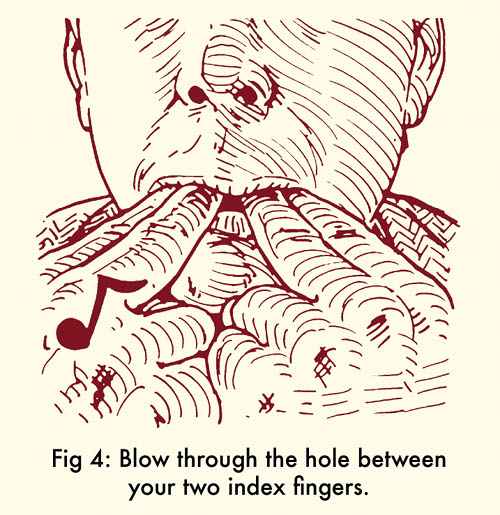 How to whistle blow through hole between index fingers.