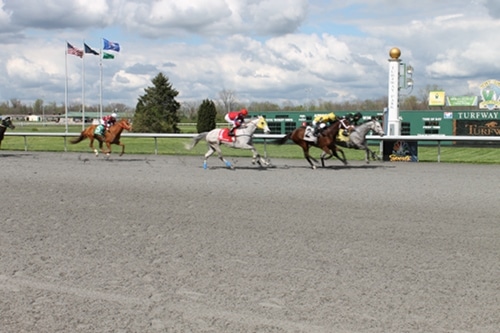 Men reaching at finish line in horse racing competition.