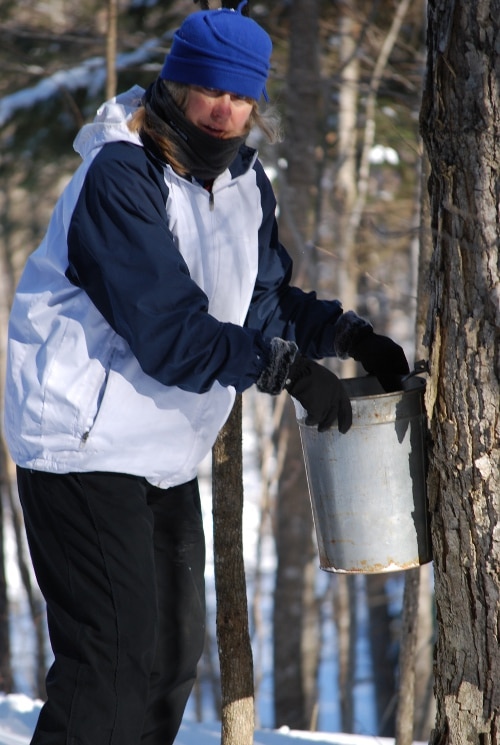 hangingbucket