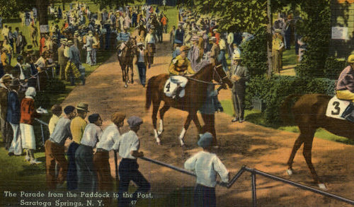 Crowd seeing the winning position number on horse body illustration.