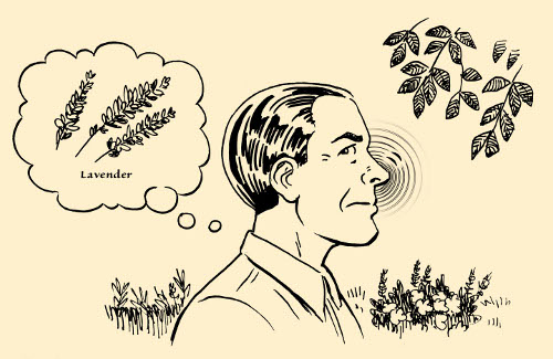 Concentration exercise man smelling plants flora illustration.