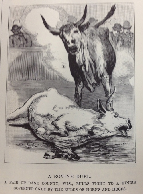 Vintage police gazette illustration bull fight.
