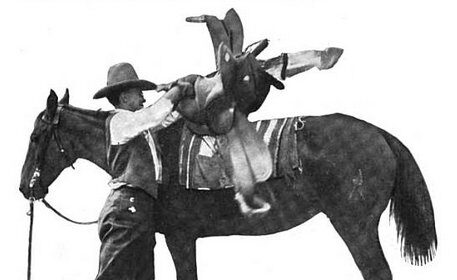 An old photograph depicting a man on horseback, holding the bridle as he confidently rides with a saddle.