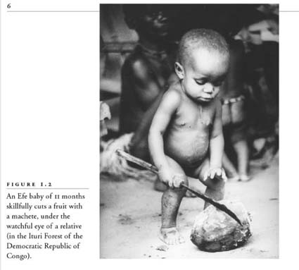 machete young baby cutting fruit in africa