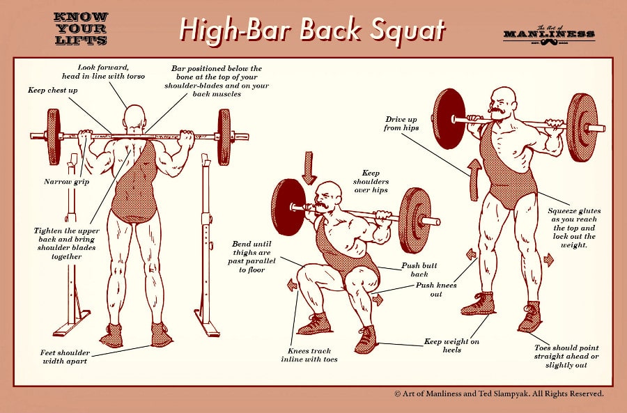 Barbell back squat, Exercise Videos & Guides