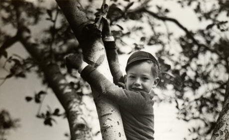 A black and white photo of a young man climbing a tree in 1933 for Harper's Magazine.