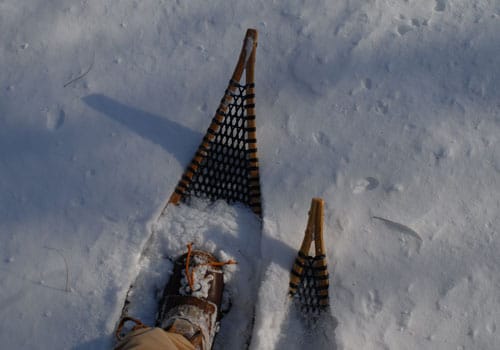 Traditional snowshoes wood and rawhide tips. 