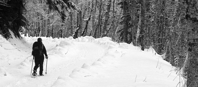 snow2