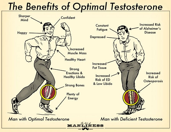 Testosterone Benefits Why Testosterone is Important The