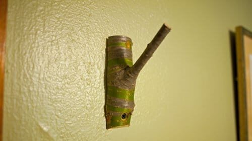 A coat hook made from a tree branch, hanging on the wall.