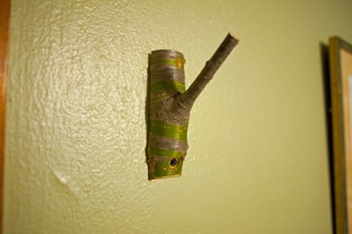 A coat hook made from a tree branch, hanging on the wall.