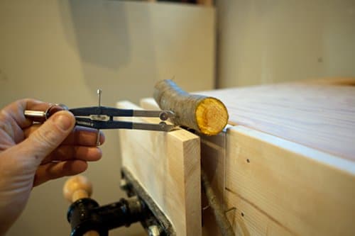 Tree branch hold into vise marking backside for cut.