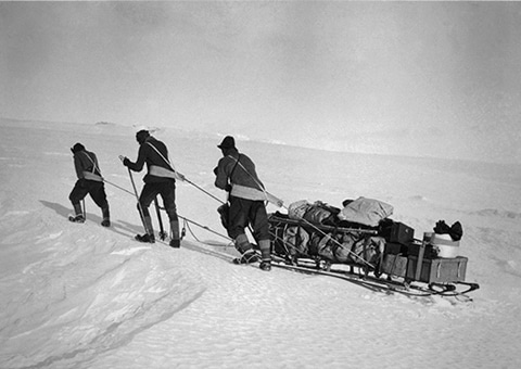 Vintage south pole explorers pulling sledge over snowy landscape. 