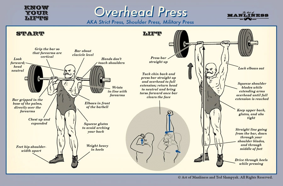 A diagram illustrating the proper technique for performing the overhead press, one of the fundamental lifts in weightlifting.