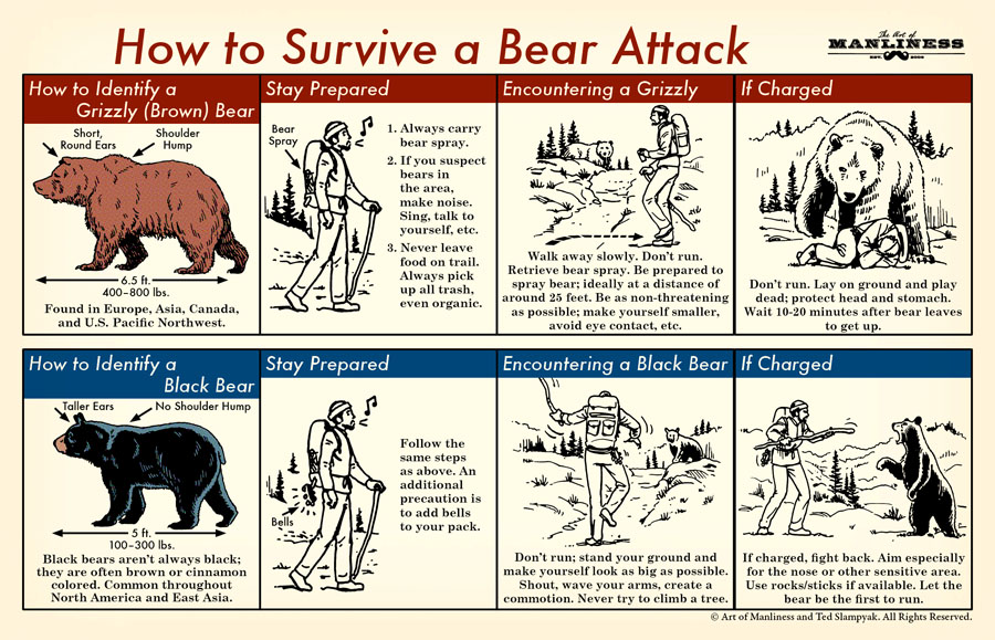 Bear in mind: a guide to Bears tailgating